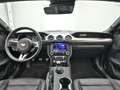 Ford Mustang GT Cabrio V8 450PS/Premium2/Magne Bleu - thumbnail 12