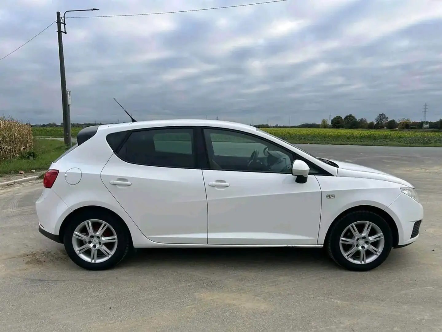 SEAT Ibiza 1.4i 16v 85 Collector 2 Clim' - 2