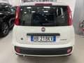 Fiat New Panda KM OO Panda Icon Hybrid 1.0 70 cv Km 00 Weiß - thumbnail 5