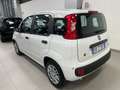 Fiat New Panda KM OO Panda Icon Hybrid 1.0 70 cv Km 00 Weiß - thumbnail 6