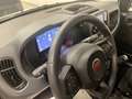 Fiat New Panda KM OO Panda Icon Hybrid 1.0 70 cv Km 00 Weiß - thumbnail 15