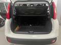Fiat New Panda KM OO Panda Icon Hybrid 1.0 70 cv Km 00 Weiß - thumbnail 19