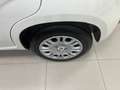 Fiat New Panda KM OO Panda Icon Hybrid 1.0 70 cv Km 00 Weiß - thumbnail 11