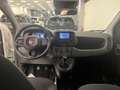 Fiat New Panda KM OO Panda Icon Hybrid 1.0 70 cv Km 00 Weiß - thumbnail 9