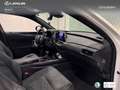 Lexus UX 250h Business City 2WD Wit - thumbnail 6