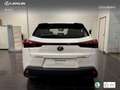 Lexus UX 250h Business City 2WD Weiß - thumbnail 5