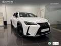 Lexus UX 250h Business City 2WD Wit - thumbnail 12