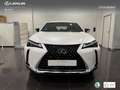 Lexus UX 250h Business City 2WD Wit - thumbnail 4