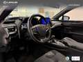 Lexus UX 250h Business City 2WD Weiß - thumbnail 20
