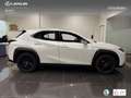Lexus UX 250h Business City 2WD Wit - thumbnail 3