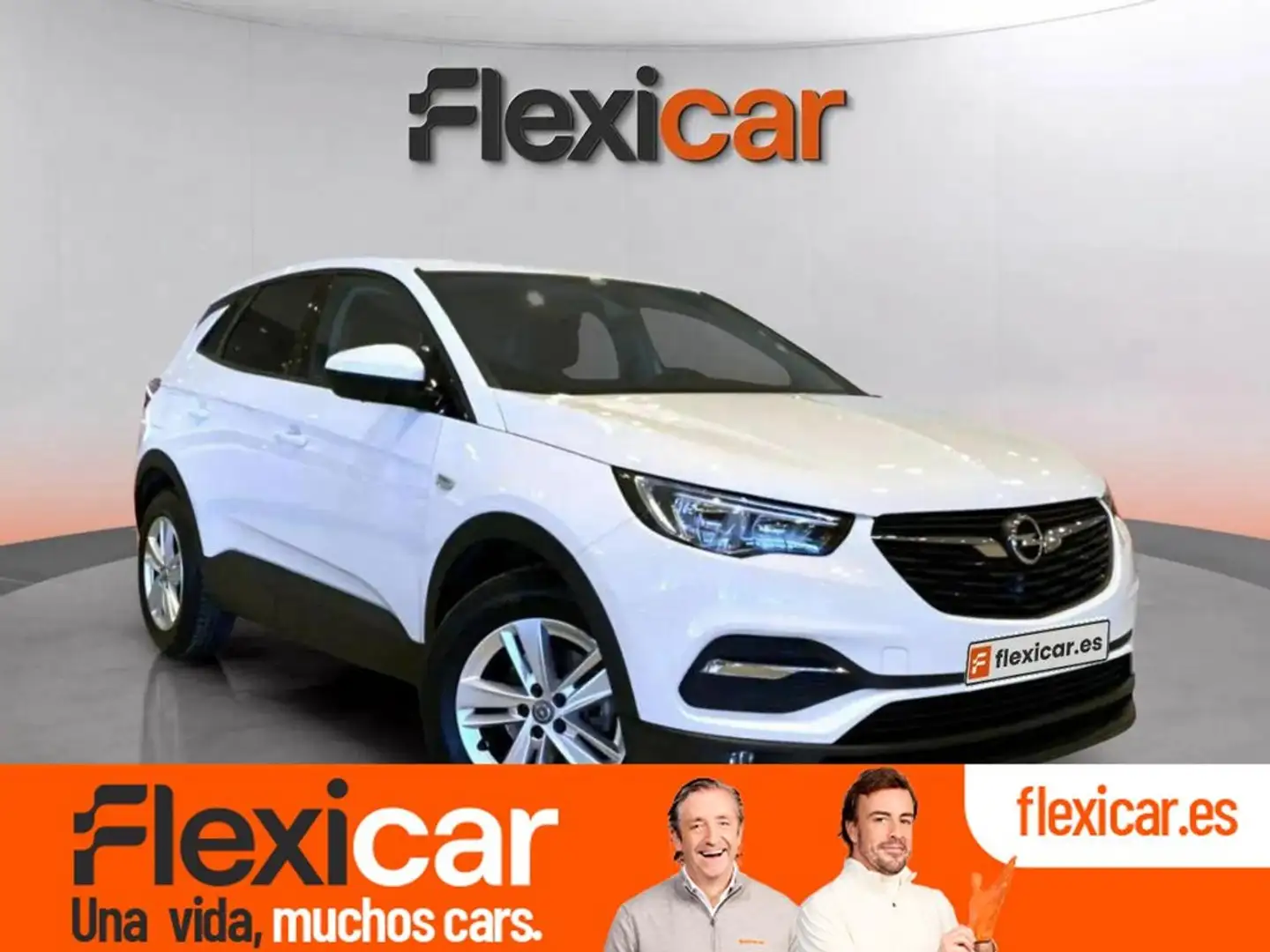 Opel Grandland X 1.6CDTi S&S Selective 120 Blanco - 1
