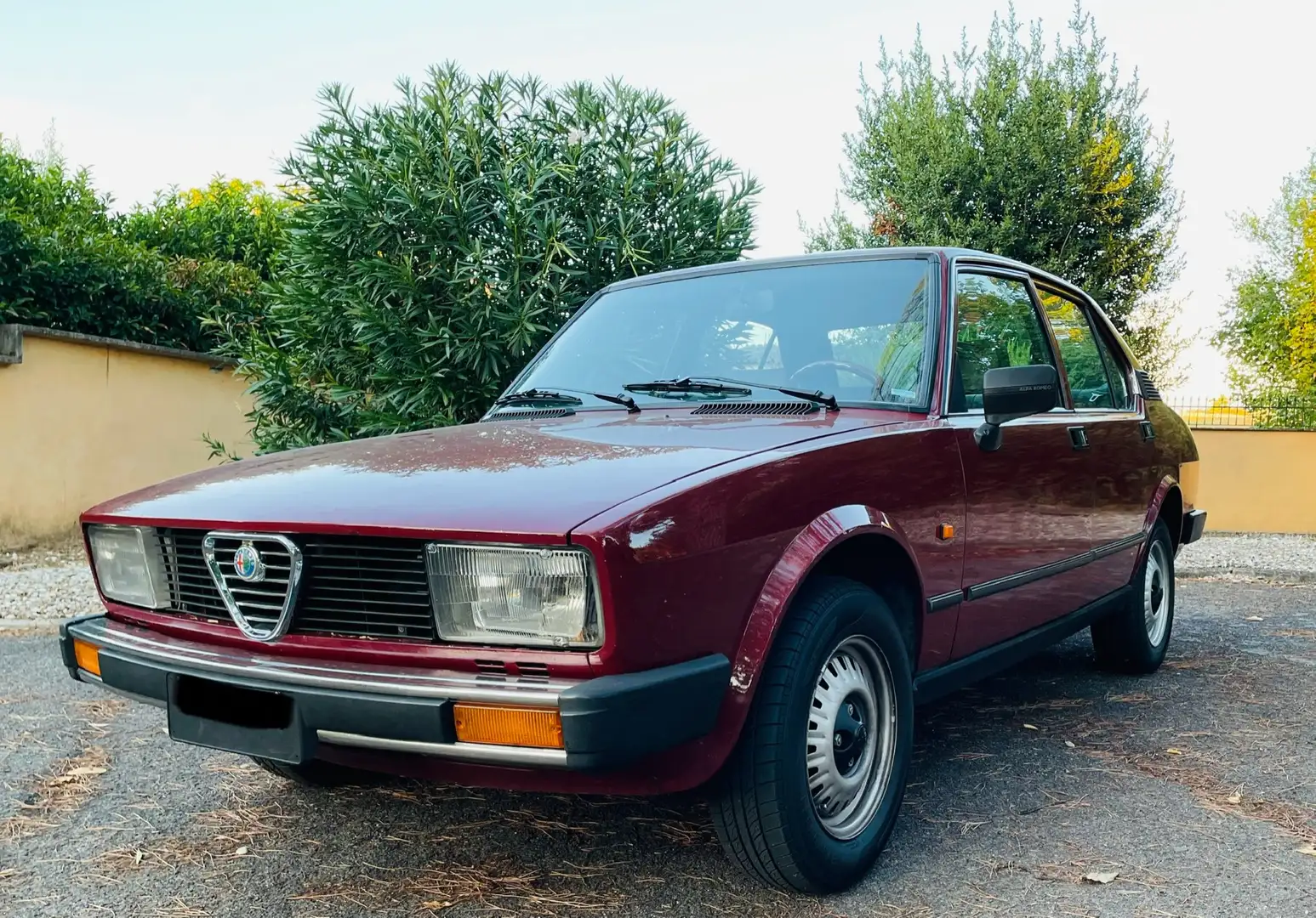 Alfa Romeo Alfetta 1.6 my81 Kırmızı - 2