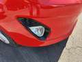 Ford Fiesta 1.5 EcoBlue 5 porte Titanium Rosso - thumbnail 8