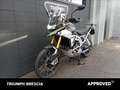 Triumph Tiger 900 Rally Pro Abs Verde - thumbnail 11