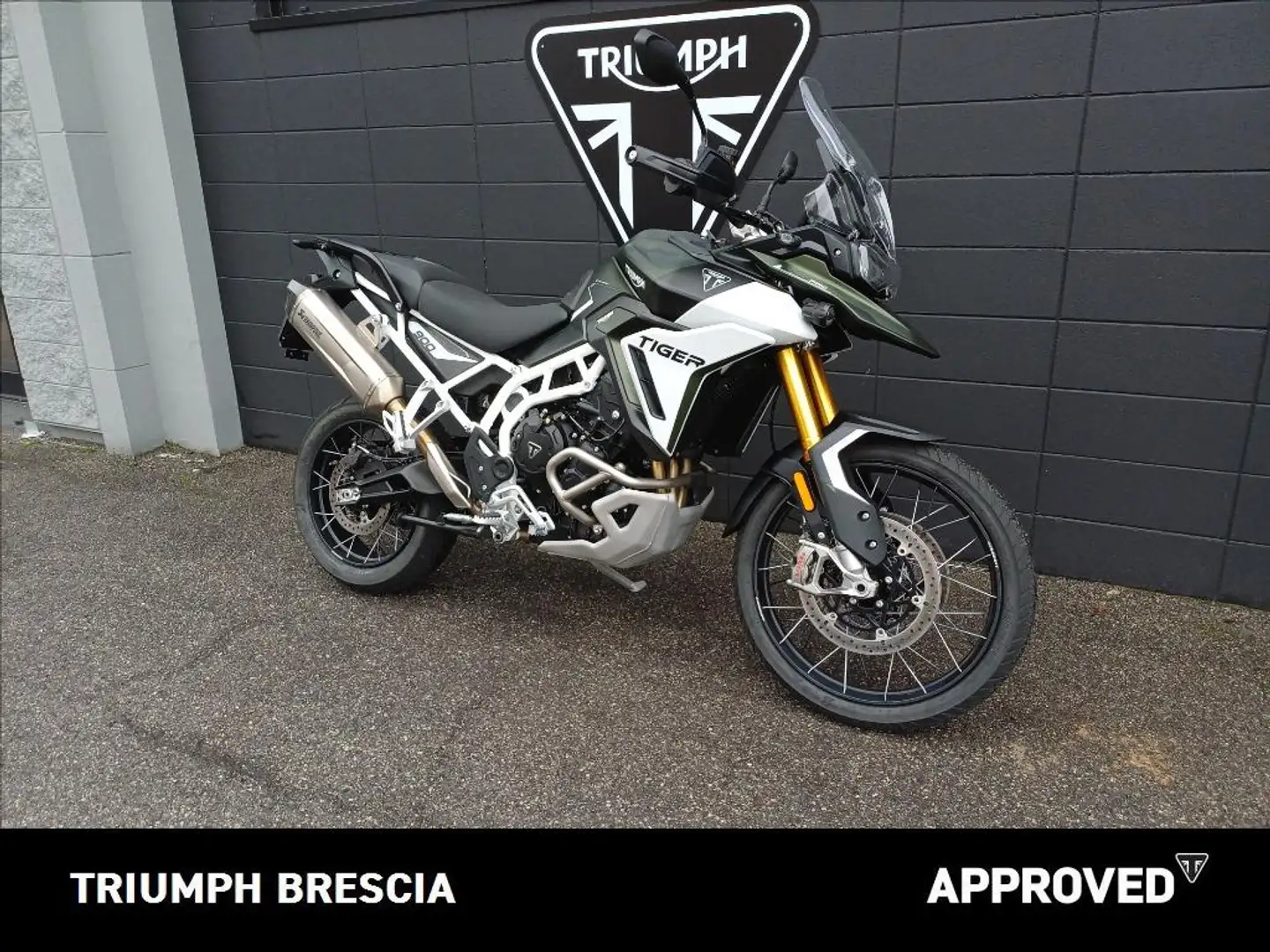 Triumph Tiger 900 Rally Pro Abs Verde - 2