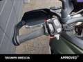 Triumph Tiger 900 Rally Pro Abs Verde - thumbnail 8