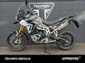 Triumph Tiger 900 Rally Pro Abs Verde - thumbnail 10