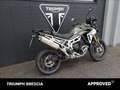 Triumph Tiger 900 Rally Pro Abs Verde - thumbnail 3