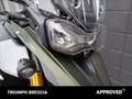 Triumph Tiger 900 Rally Pro Abs Verde - thumbnail 6