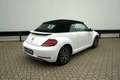 Volkswagen New Beetle CABRIO | ALLSTAR | AUTOMAAT | APPLE CARPLAY | TOP! Weiß - thumbnail 3