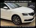 Skoda Octavia Combi Ambition 1.6 TDI AHK/Kamera/ Weiß - thumbnail 11