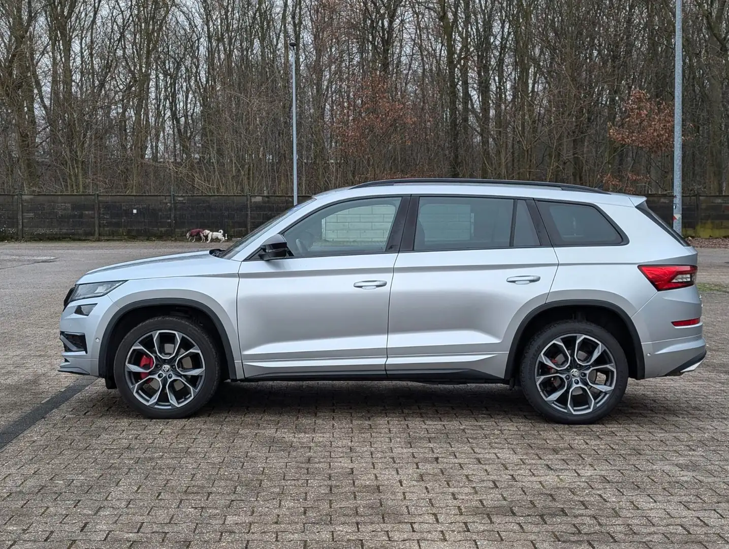 Skoda Kodiaq RS 4x4 FullAssist/DCC/AID/ACC/AHK Argent - 2