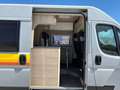 Fiat Ducato Fiat Weinsberg Carabus 600 K | 4 Couchages Weiß - thumbnail 10