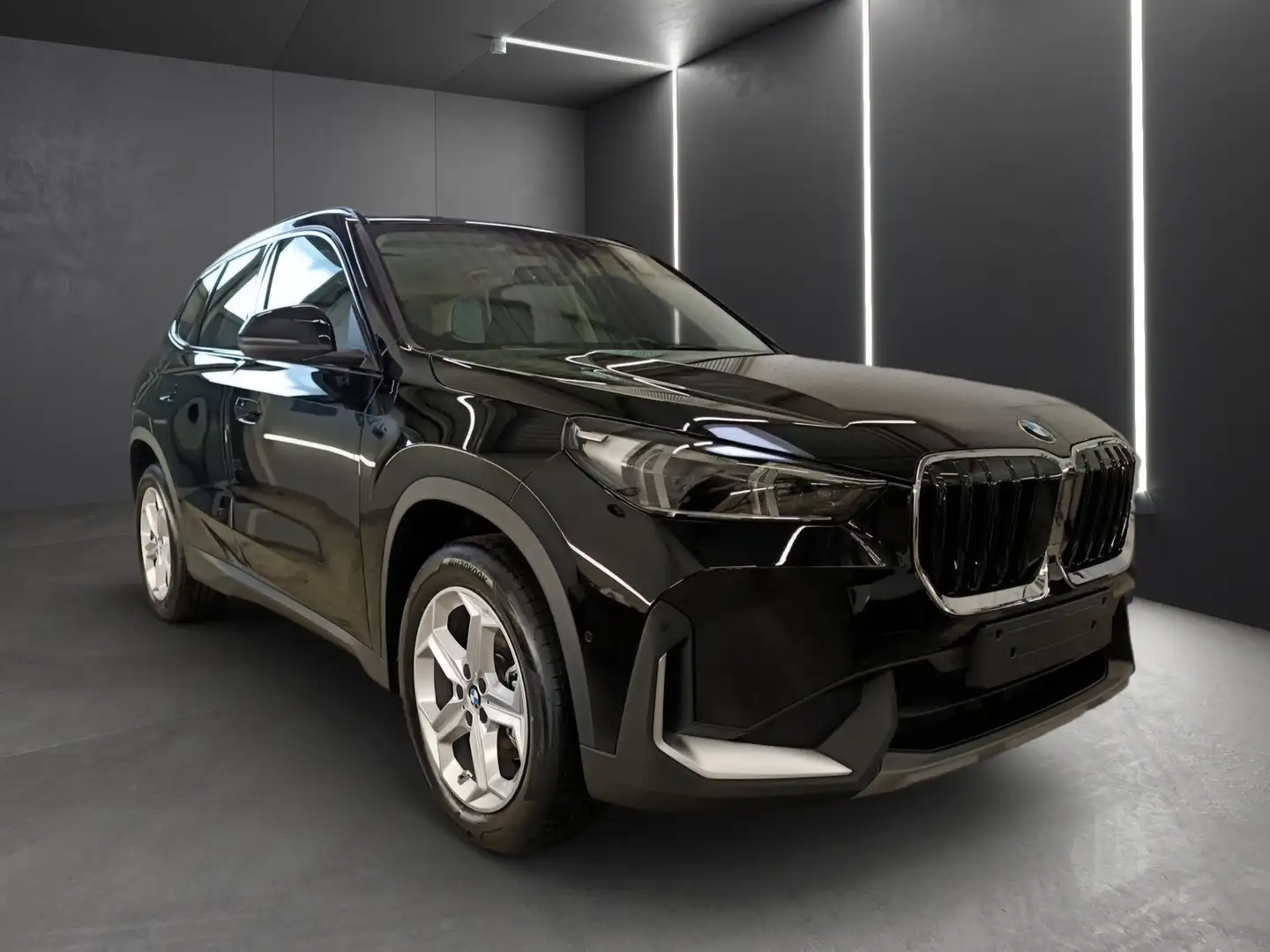 BMW X1 xDrive20d ALLRAD+PREMIUMPAKET+18"+DRIVING+PARKING Black - 2