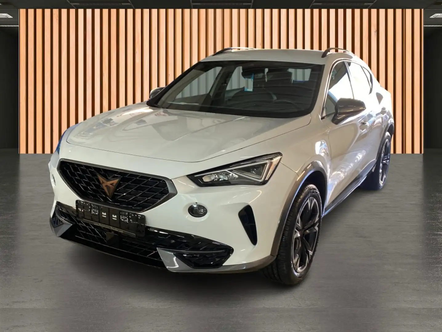 CUPRA Formentor 1.5 TSI DSG*ACC*Full Link*Kessy*PDC* Weiß - 2