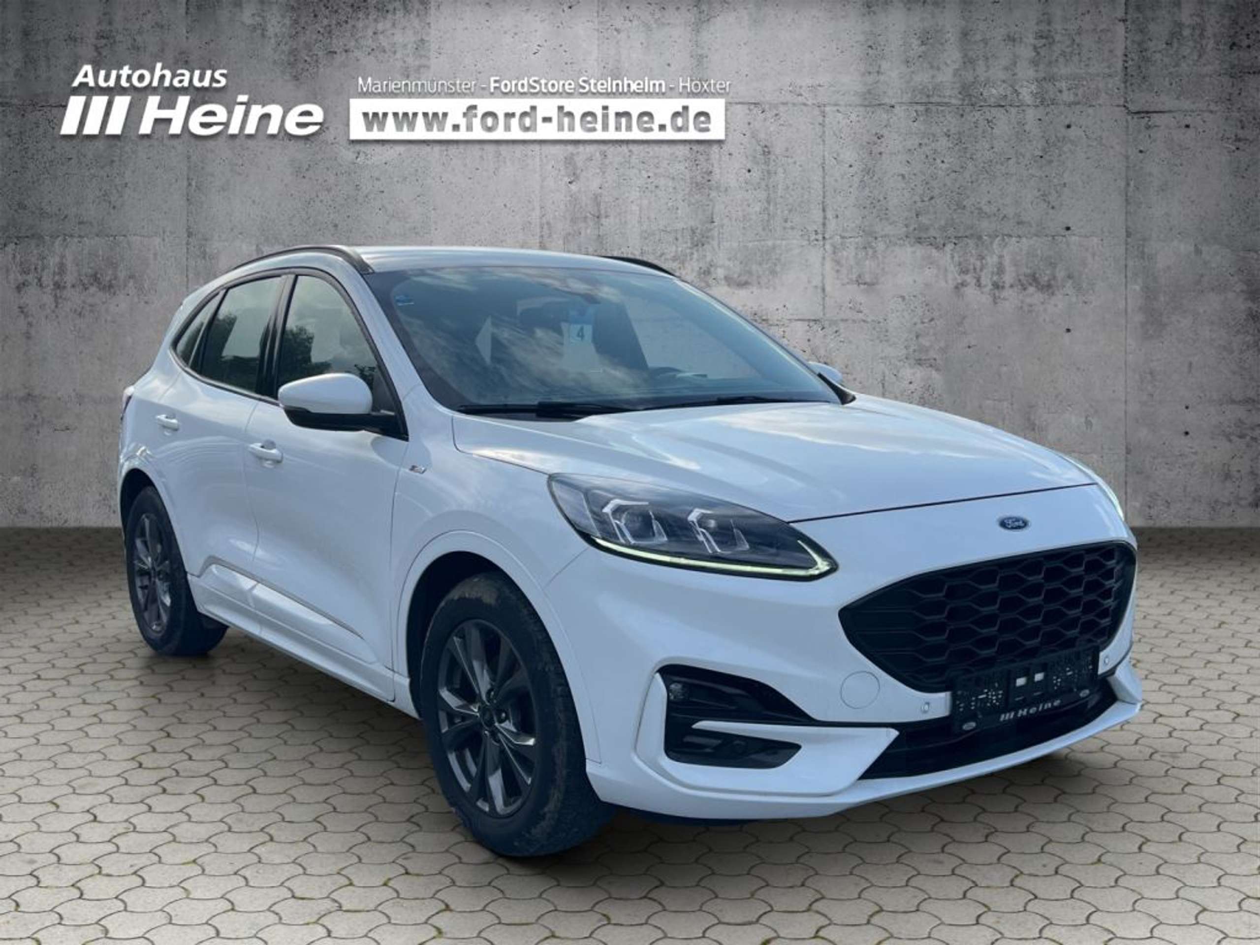 Fahrzeugabbildung Ford Kuga 2.0 EcoBlue Hybrid ST-LINE - mit KI generiert/bearbeitet