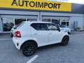 Suzuki Ignis 1.2 Hybrid Top Bianco - thumbnail 6