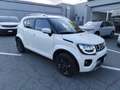 Suzuki Ignis 1.2 Hybrid Top Bianco - thumbnail 7