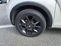 Suzuki Ignis 1.2 Hybrid Top Bianco - thumbnail 10