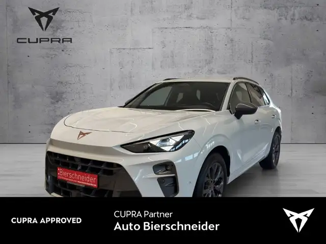 2026 CUPRA Terramar in White for sale