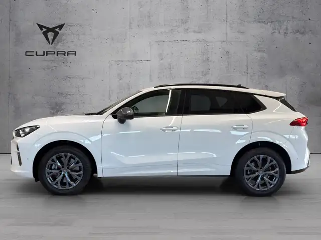 CUPRA Terramar view 4