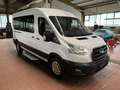 Ford Transit Kombi 350 L3 STANDHEIZ.+ROLLSTUHLRAMPE Wit - thumbnail 3
