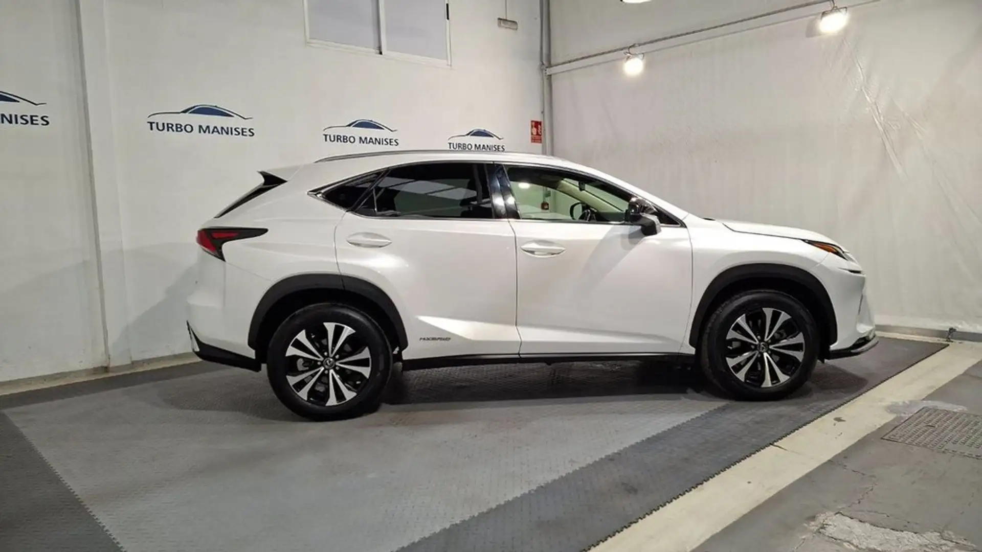 Lexus NX 300h 2.5 Premium 2WD Blanc - 2