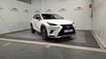 Lexus NX 300h 2.5 Premium 2WD Blanc - thumbnail 7