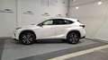 Lexus NX 300h 2.5 Premium 2WD Blanc - thumbnail 3