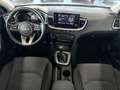Kia Ceed SW / cee'd SW Ceed 1.5 T-GDI Sportswagon +CarPlay+Kamera+SHZ+ Weiß - thumbnail 10