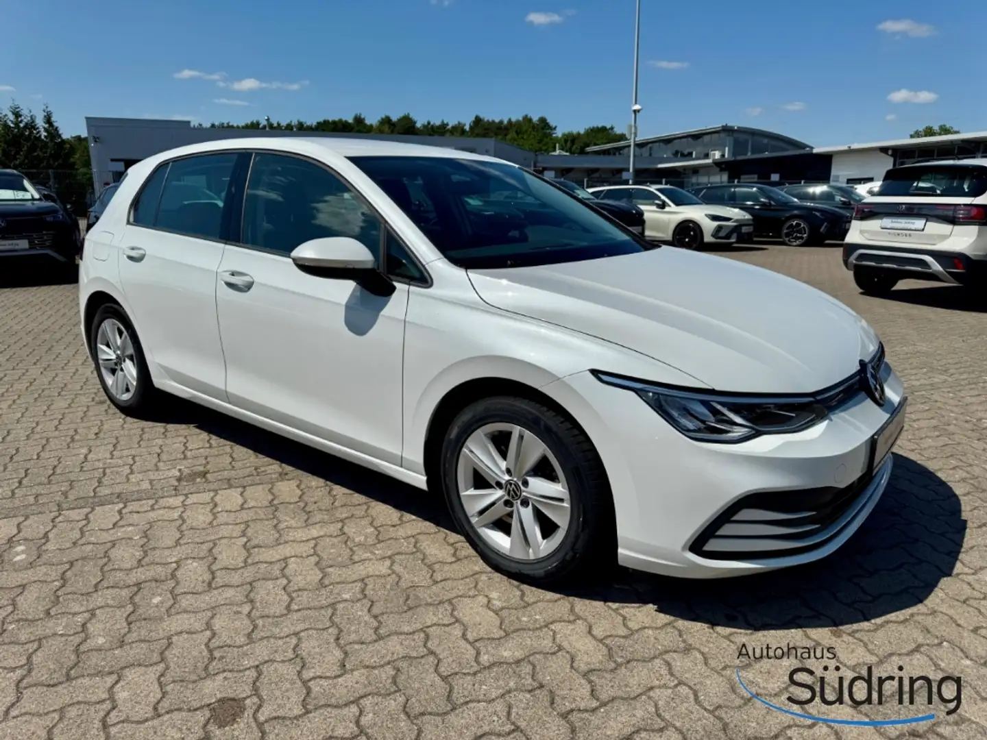 Volkswagen Golf VIII 1,0 TSI Life AppConnect Rückfahrk. Blanc - 2