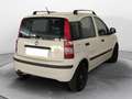 Fiat Panda 1.2 easypower Active Gpl 69cv Bianco - thumbnail 4