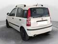 Fiat Panda 1.2 easypower Active Gpl 69cv Bianco - thumbnail 6