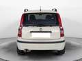 Fiat Panda 1.2 easypower Active Gpl 69cv Bianco - thumbnail 5