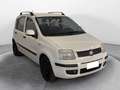 Fiat Panda 1.2 easypower Active Gpl 69cv Bianco - thumbnail 3