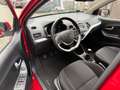 Kia Picanto Dream Team Rot - thumbnail 19