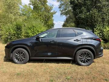 NX 450h 2.5i AWD Executive Line E-CVT (227 kW) Executive Line