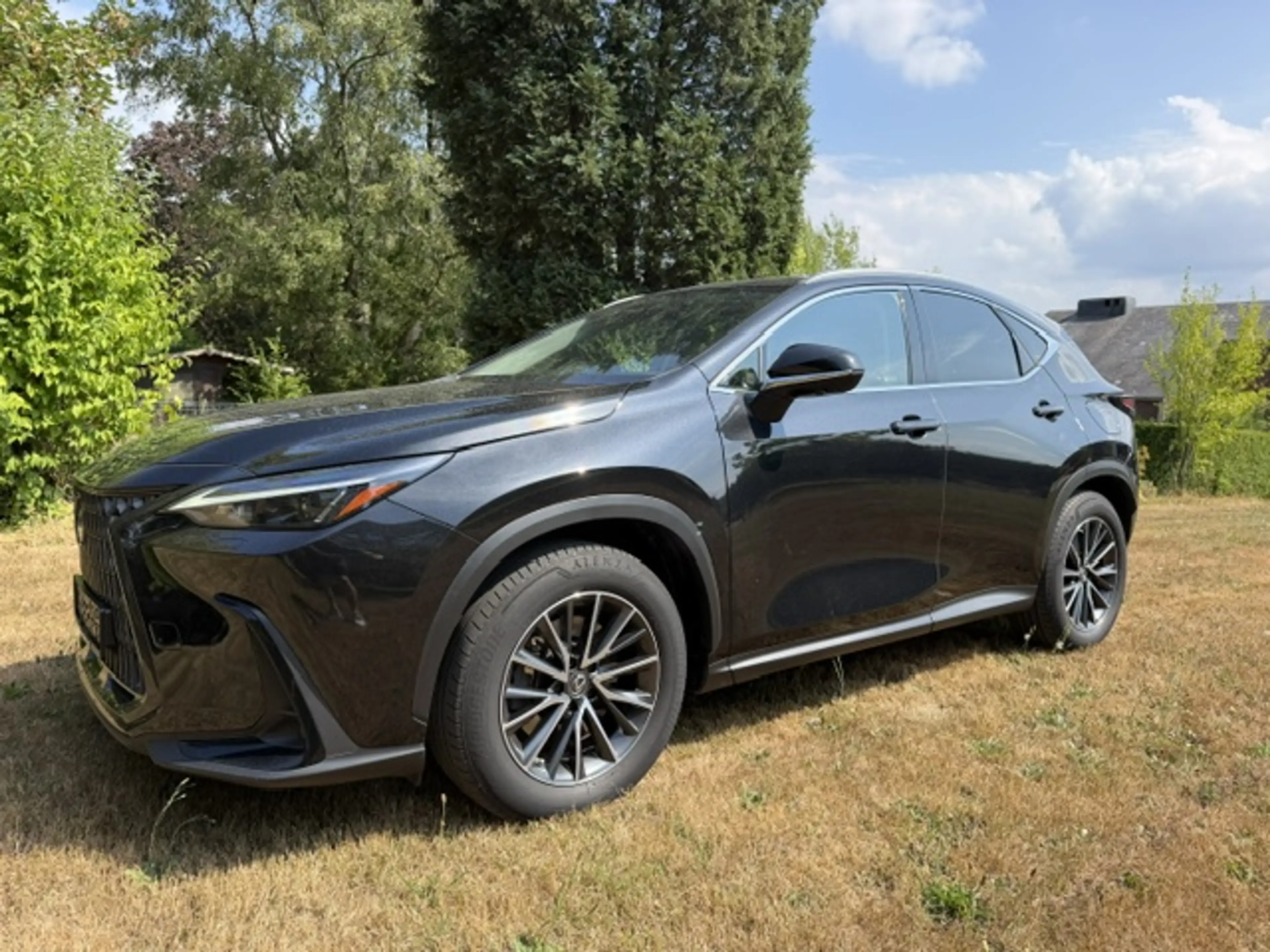 Lexus NX 450h+ NX 450h  2.5i AWD Executive Line E-CVT (227 kW) Executive Line — photo 2