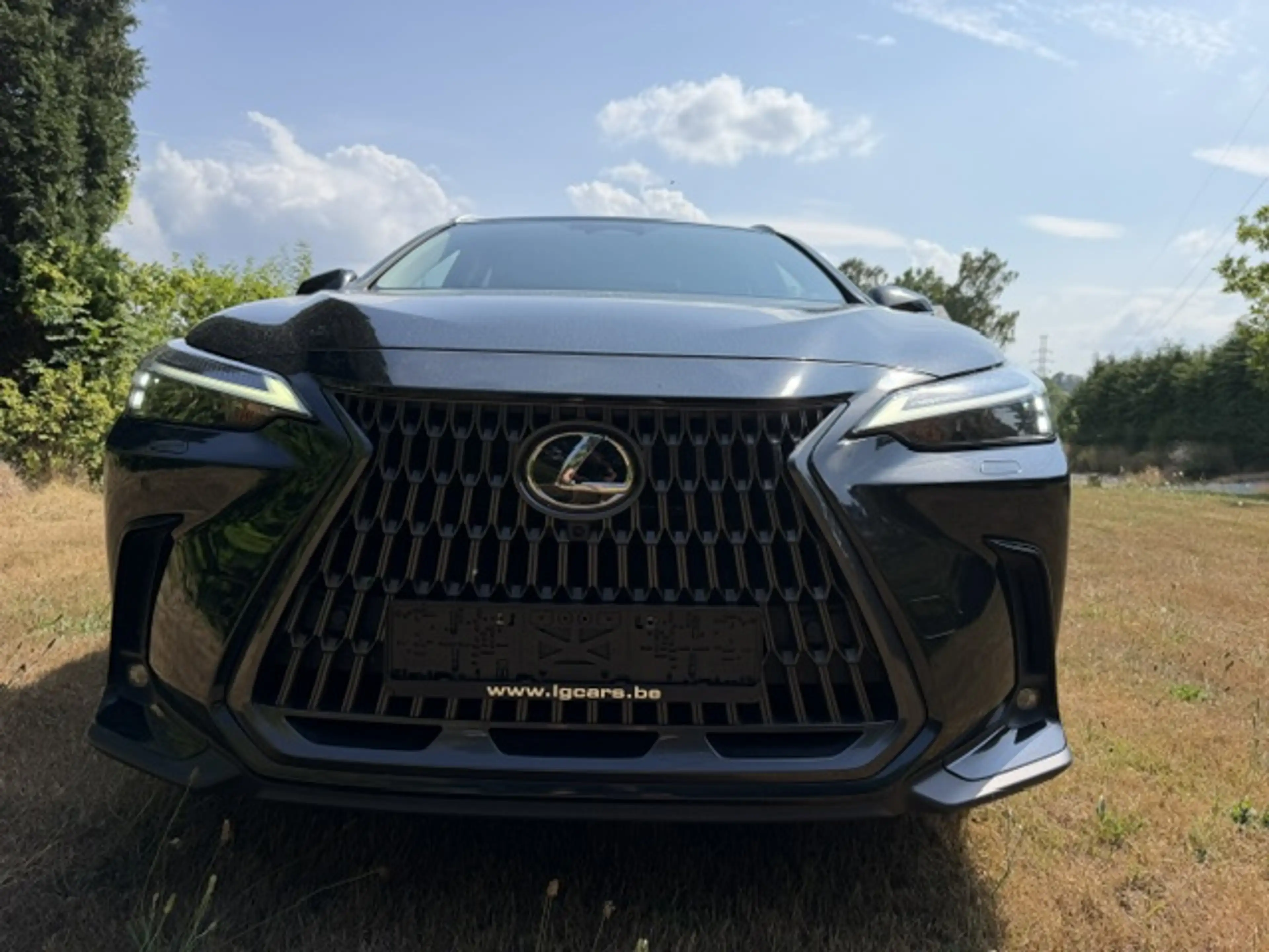 Lexus NX 450h+ NX 450h  2.5i AWD Executive Line E-CVT (227 kW) Executive Line — photo 3