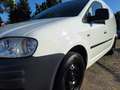 Volkswagen Caddy Maxi Kasten Klima, Tüv neu!! Weiß - thumbnail 5